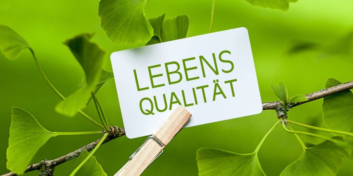 Coaching Lebensfragen