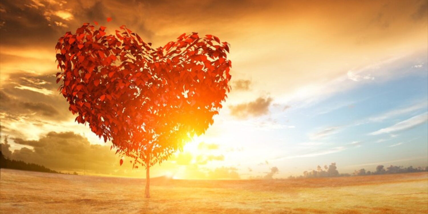 Ich bin der wichtigste Mensch in meinem Leben